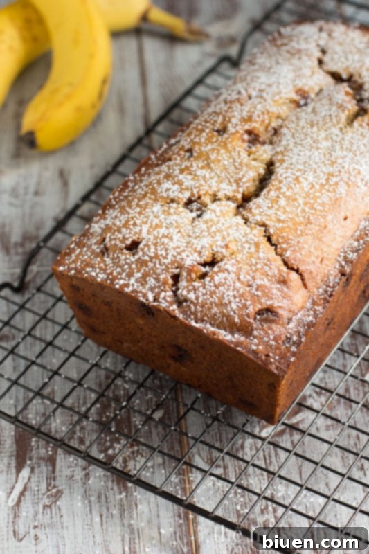 Two loaves of Banana Bread with Cookie Butter Cheesecake Swirl on a wire rack, cooling