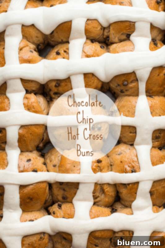 Irresistible Chocolate Chip Hot Cross Buns 22 Warm Chocolate Chip Hot Cross Buns with Icing