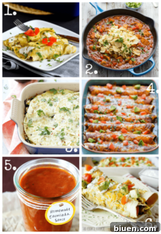 Cinco De Mayo Enchilada Recipes