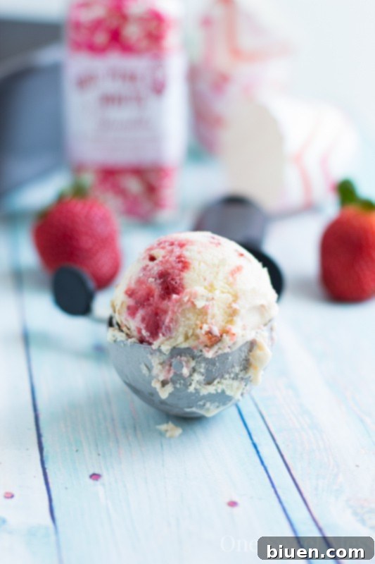 Strawberry Jam & Toasted Almond Swirled Ice Cream