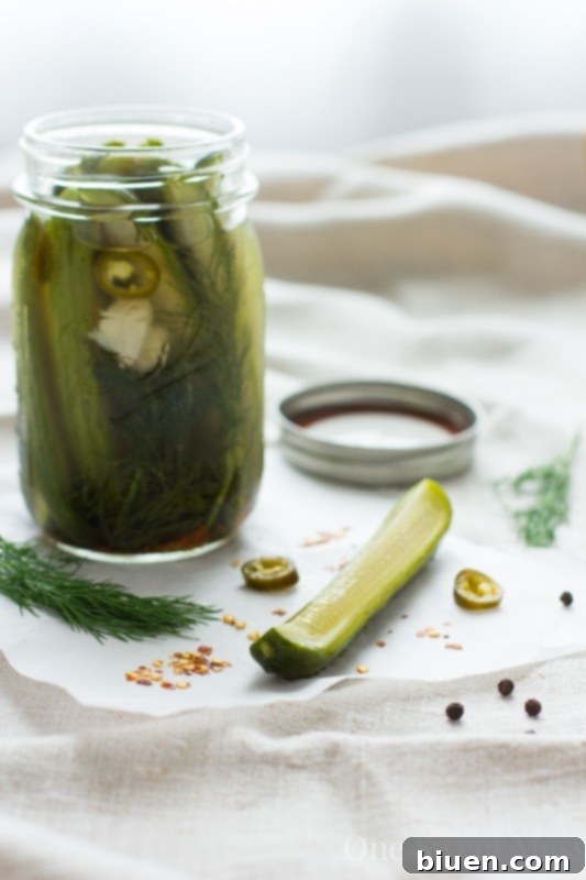 Spicy Refrigerator Pickles