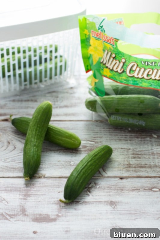 OXO GreenSaver System Review