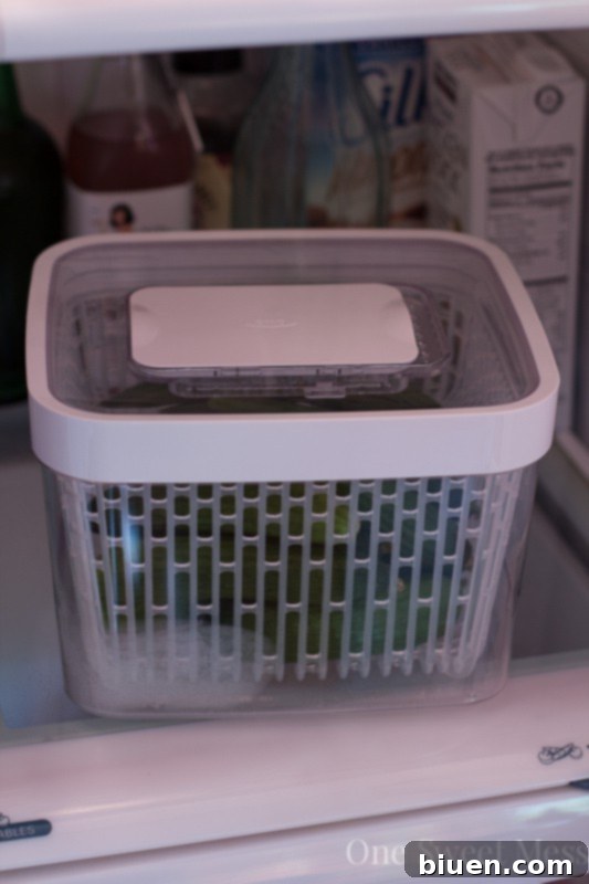 OXO GreenSaver System Review