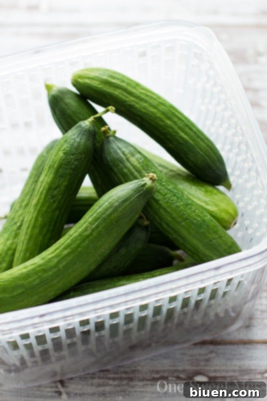 OXO GreenSaver System Review