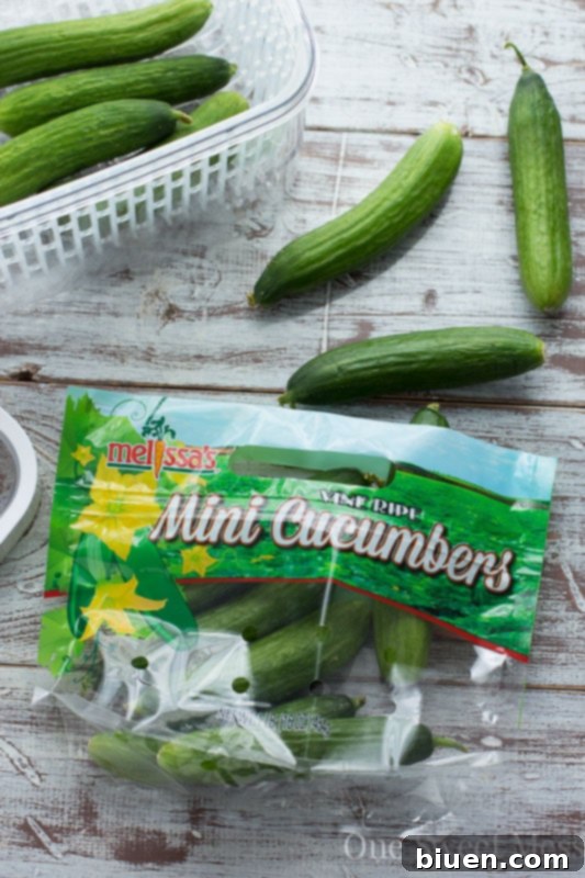 OXO GreenSaver System Review