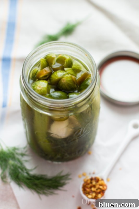 Spicy Refrigerator Pickles