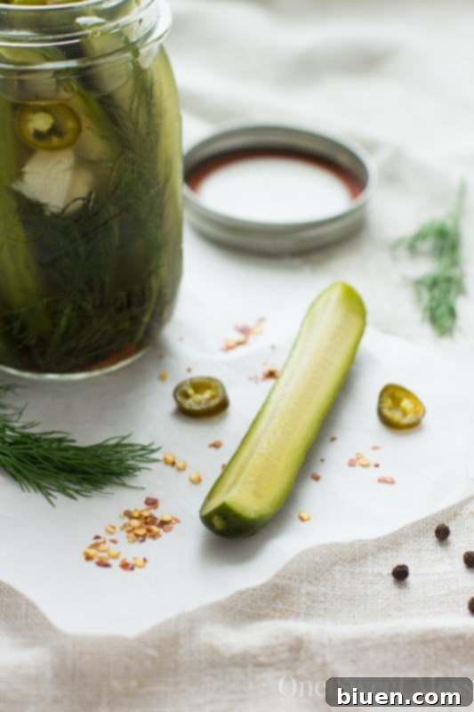 Spicy Refrigerator Pickles