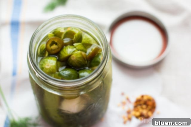 Spicy Refrigerator Pickles