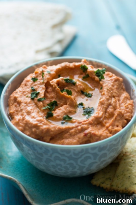 Close-up of creamy Sun-Dried Tomato & Roasted Red Pepper Hummus, showcasing its rich texture.