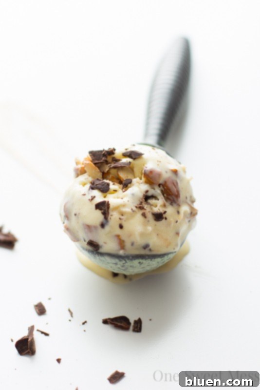 Toasted Coconut Ice Cream with Almonds and Dark Chocolate