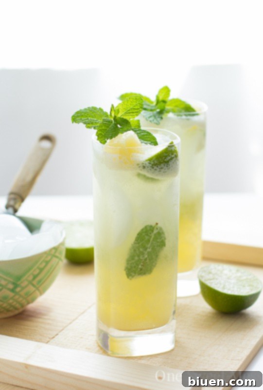 Pineapple Coconut Mojito
