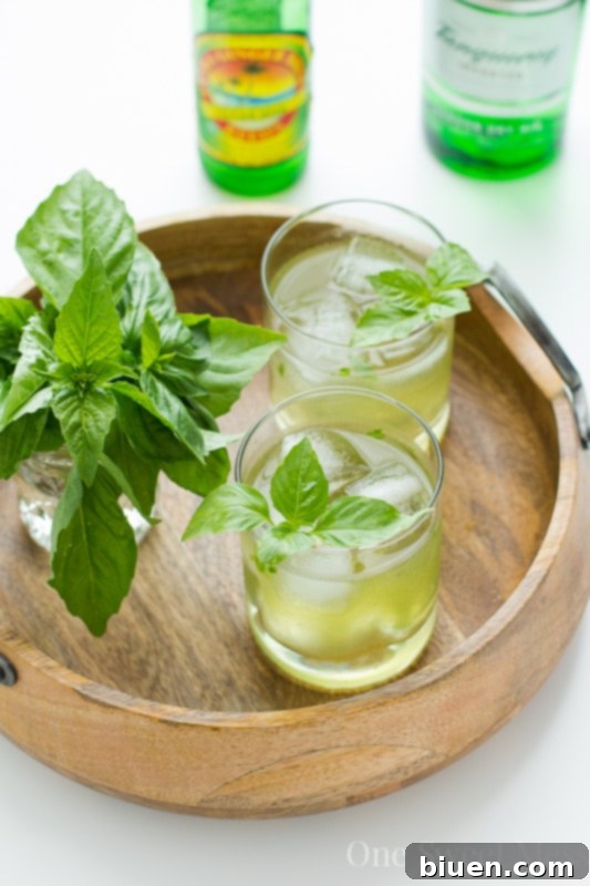 Refreshing Basil Ginger Gin Fizz cocktail in a glass with basil garnish