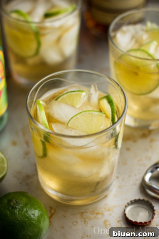Close-up of a refreshing Dark & Stormy Cocktail