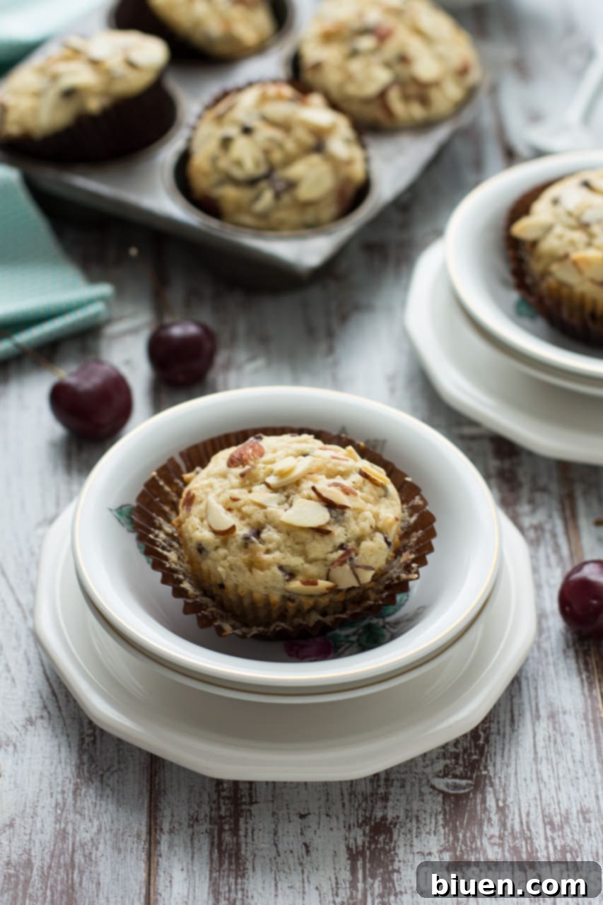 Irresistible Cherry Chocolate Chip Muffins 34 Cherry Chocolate Chip Muffins