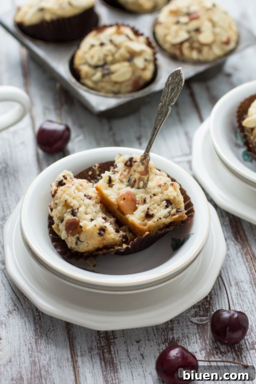 Irresistible Cherry Chocolate Chip Muffins 35 Cherry Chocolate Chip Muffins