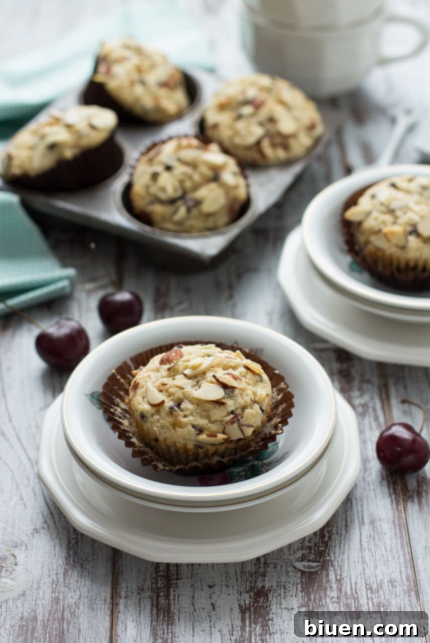 Irresistible Cherry Chocolate Chip Muffins 5 Cherry Chocolate Chip Muffins