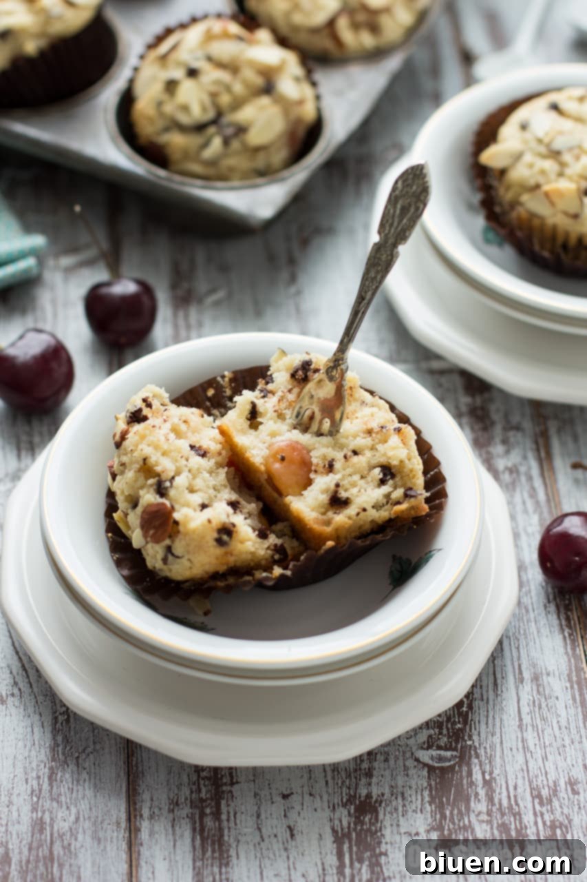 Irresistible Cherry Chocolate Chip Muffins 6 Cherry Chocolate Chip Muffins