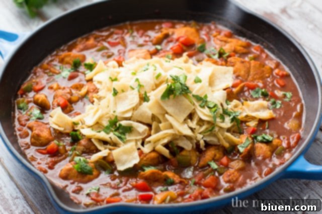 Chicken Enchilada Skillet | www.themessybakerblog.com