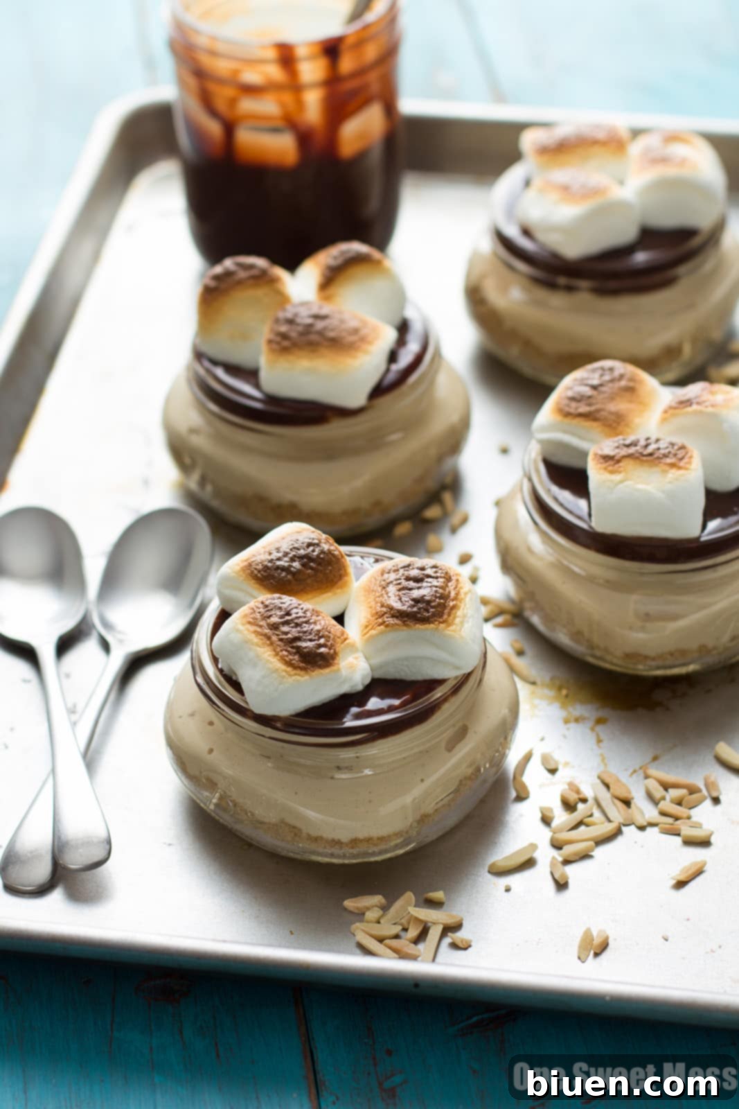 No-Bake S'mores Cheesecake 