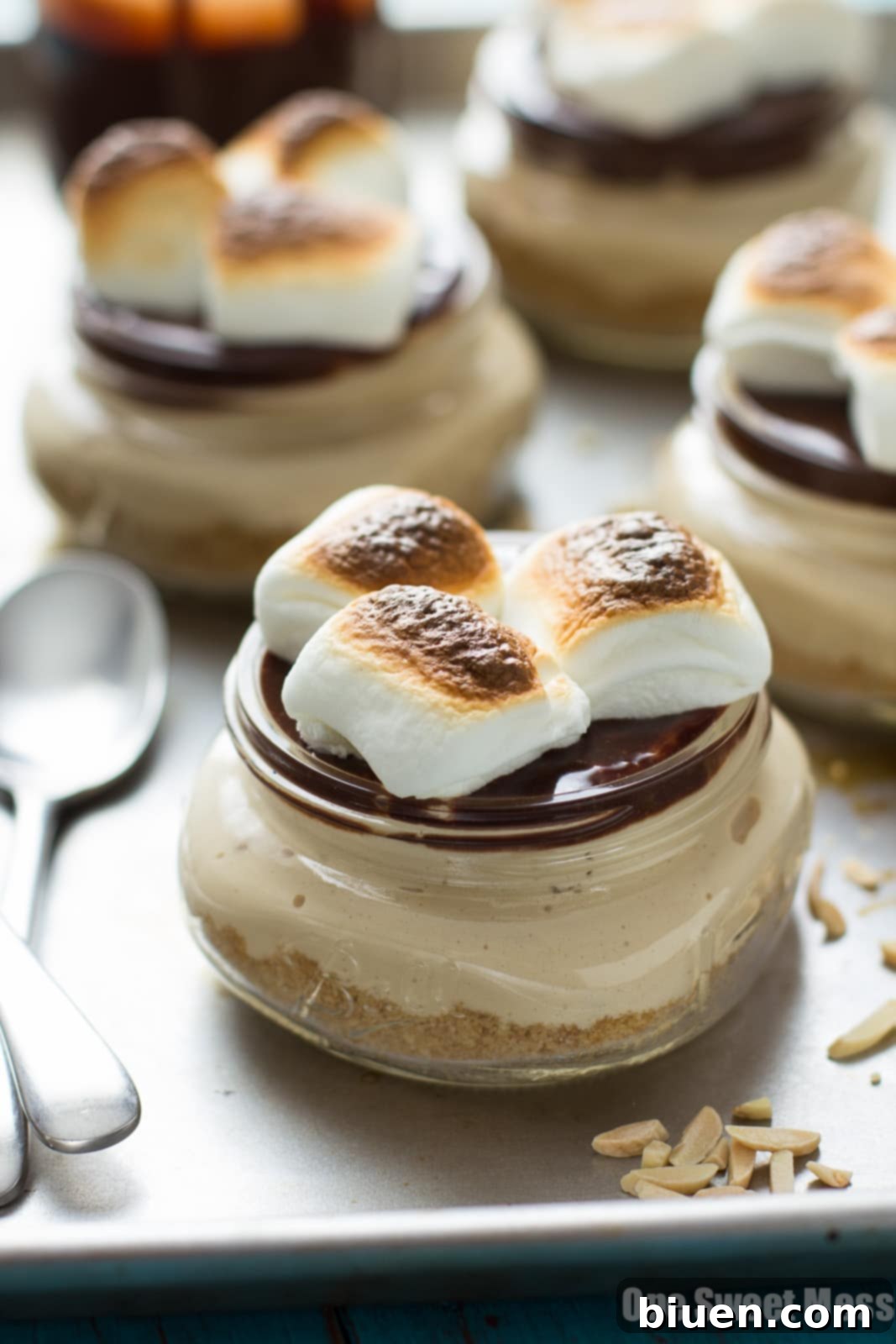 No-Bake S'mores Cheesecake 