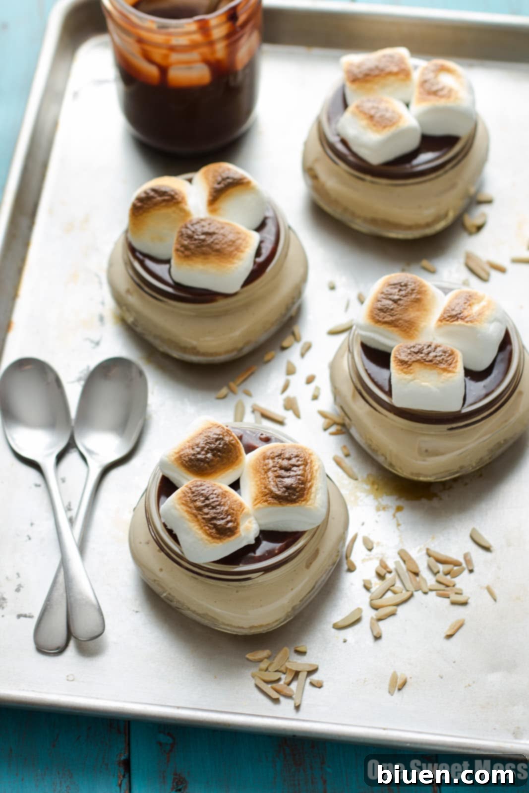 No-Bake S'mores Cheesecake 