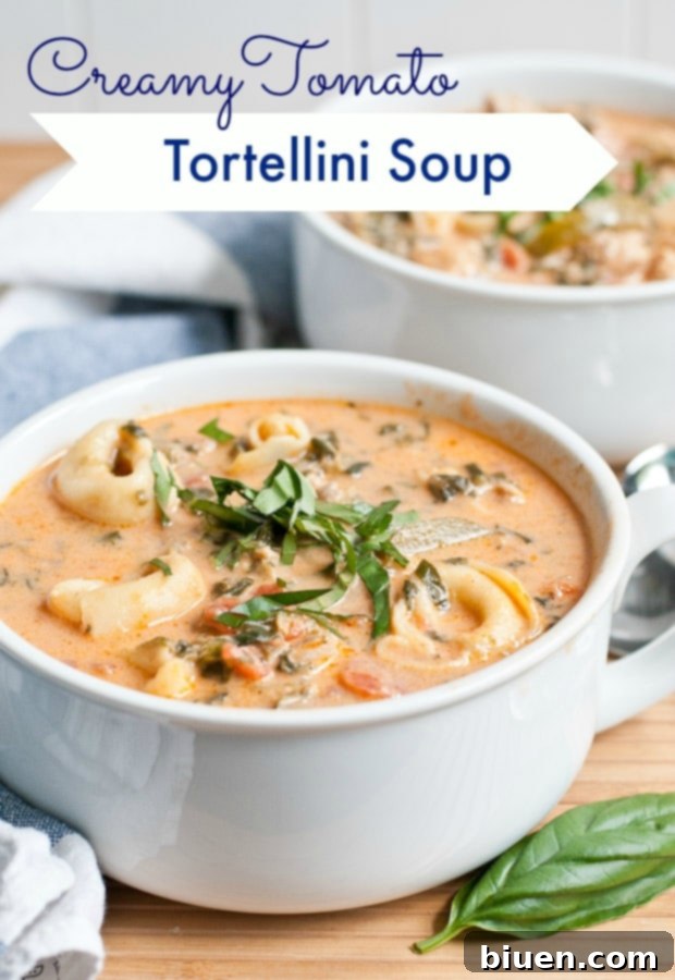 Creamy Chicken Sausage Tortellini Soup