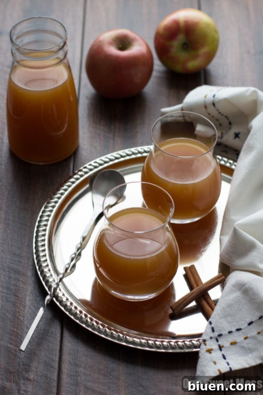 Close-up of a Caramel Apple Pie Martini in a glass, with apple garnish