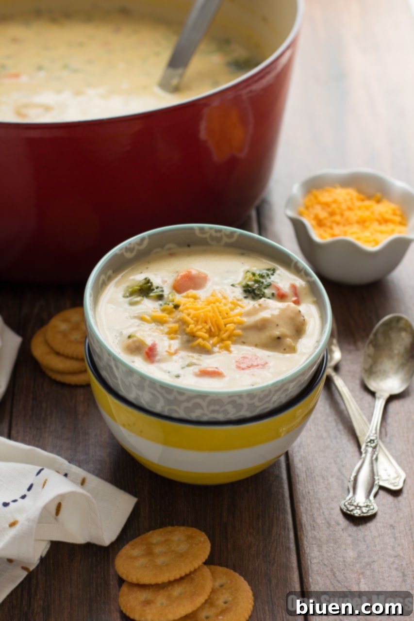 Rich Cheesy Chicken & Veggie Chowder in a bowl
