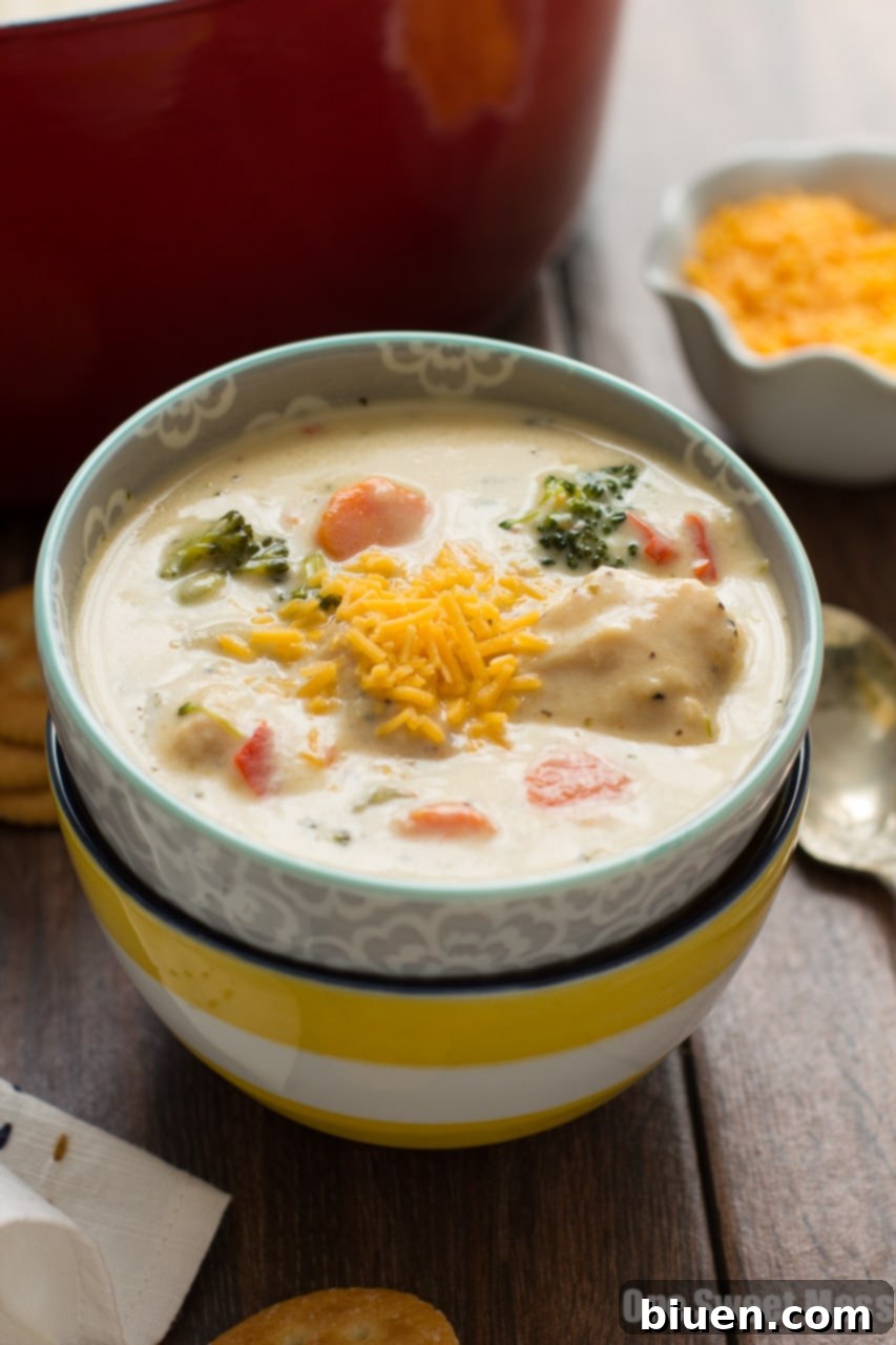 Close-up of creamy chicken and vegetable chowder