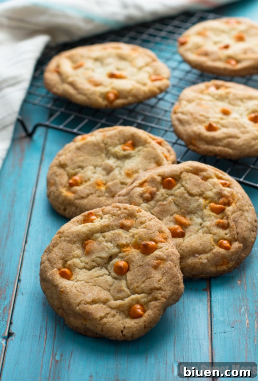 Pumpkin Spice Snickerdoodles: These soft, gooey cookies are loaded with pumpkin spice baking chips and rolled in a pumpkin spice sugar mixture.