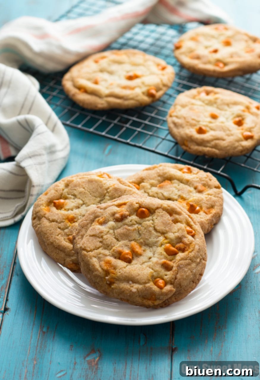 Pumpkin Spice Snickerdoodles: These soft, gooey cookies are loaded with pumpkin spice baking chips and rolled in a pumpkin spice sugar mixture.