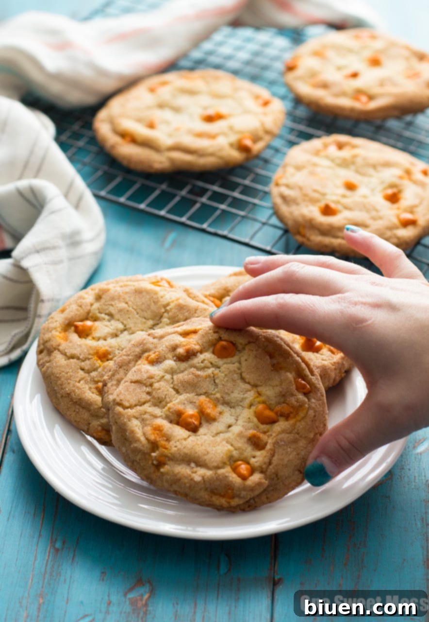 Pumpkin Spice Snickerdoodles: These soft, gooey cookies are loaded with pumpkin spice baking chips and rolled in a pumpkin spice sugar mixture.