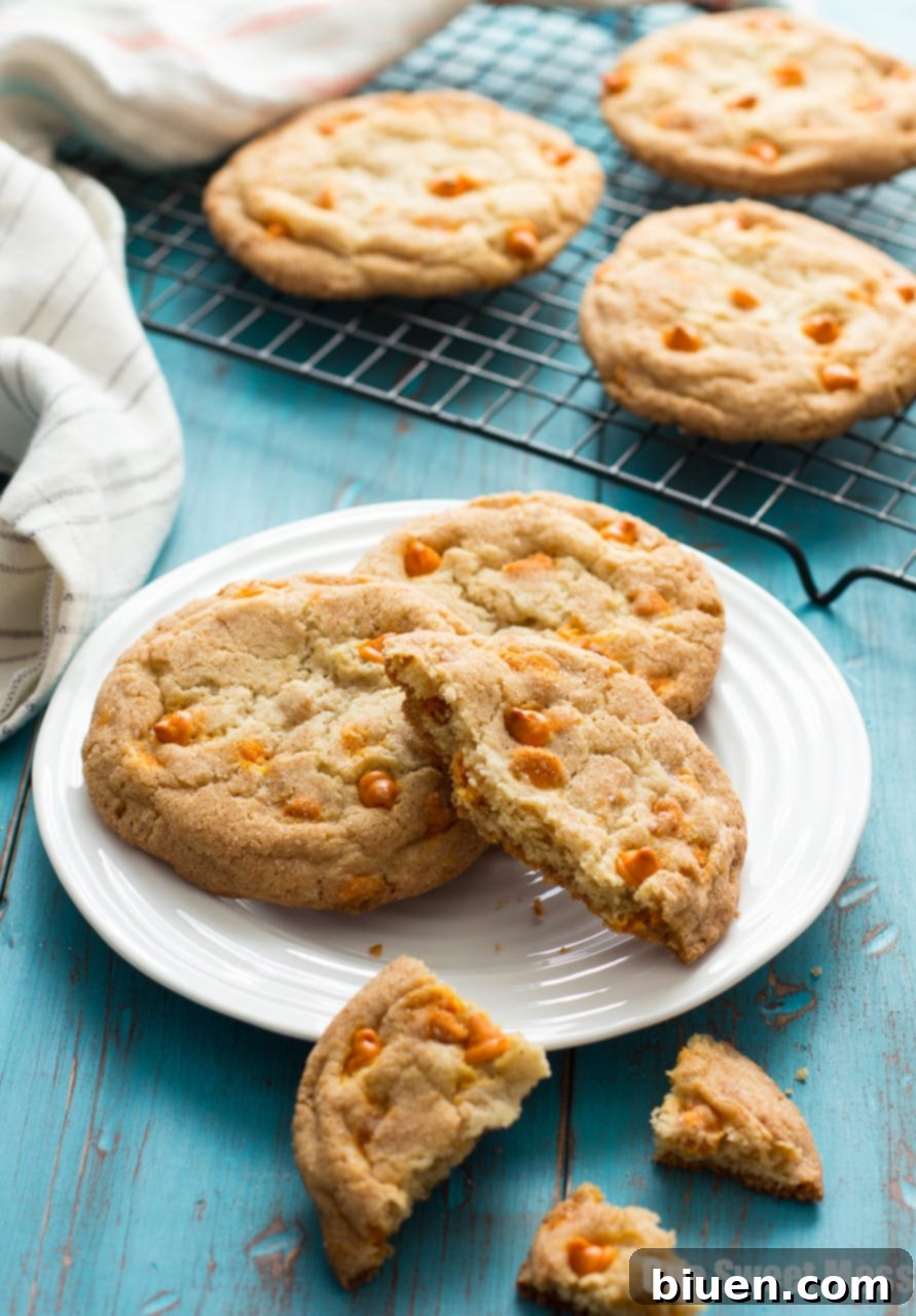 Pumpkin Spice Snickerdoodles: These soft, gooey cookies are loaded with pumpkin spice baking chips and rolled in a pumpkin spice sugar mixture.