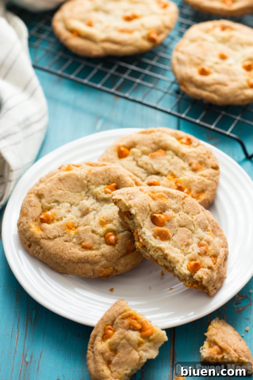 Pumpkin Spice Snickerdoodles: These soft, gooey cookies are loaded with pumpkin spice baking chips and rolled in a pumpkin spice sugar mixture.