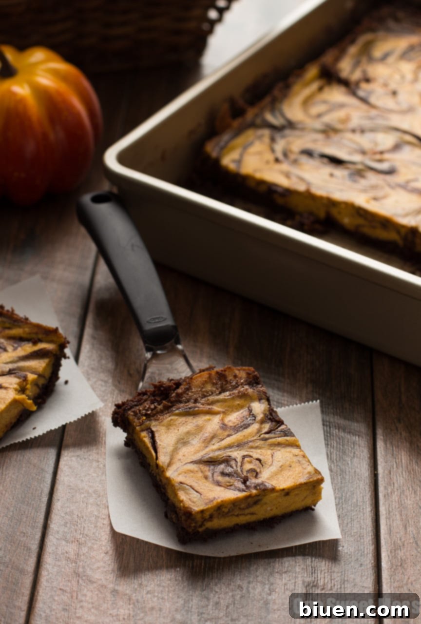 Close-up of a Pumpkin Cheesecake Swirl Brownie showcasing the creamy pumpkin and rich chocolate layers
