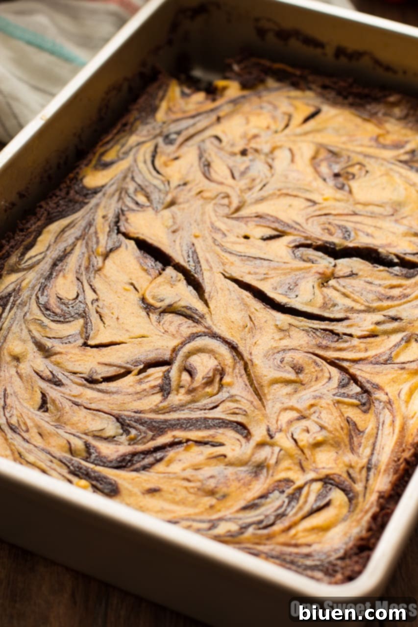 A slice of Pumpkin Cheesecake Swirl Brownies ready to be served