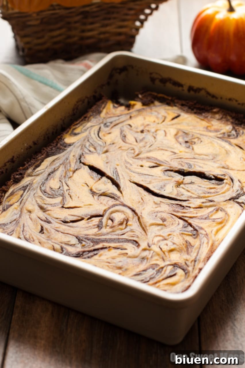 Artistic close-up of the Pumpkin Cheesecake Swirl Brownies showing the beautiful marbled effect