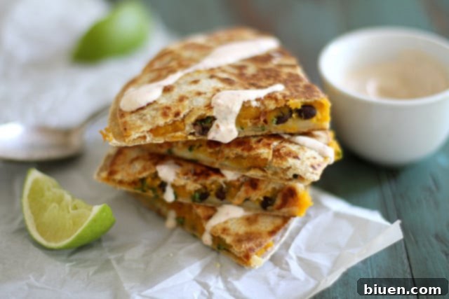 Black Bean Butternut Squash Quesadilla 