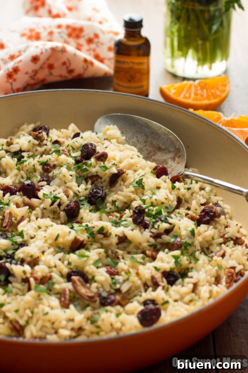 Citrus-Kissed Cranberry Rice Pilaf 9 Cranberry-Orange Rice Pilaf with Toasted Pecans - Close-up of fluffy rice