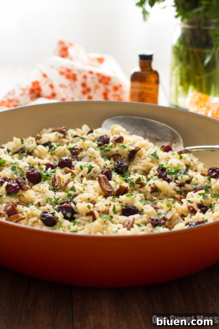 Citrus-Kissed Cranberry Rice Pilaf 6 Cranberry-Orange Rice Pilaf with Toasted Pecans - Ingredients shot