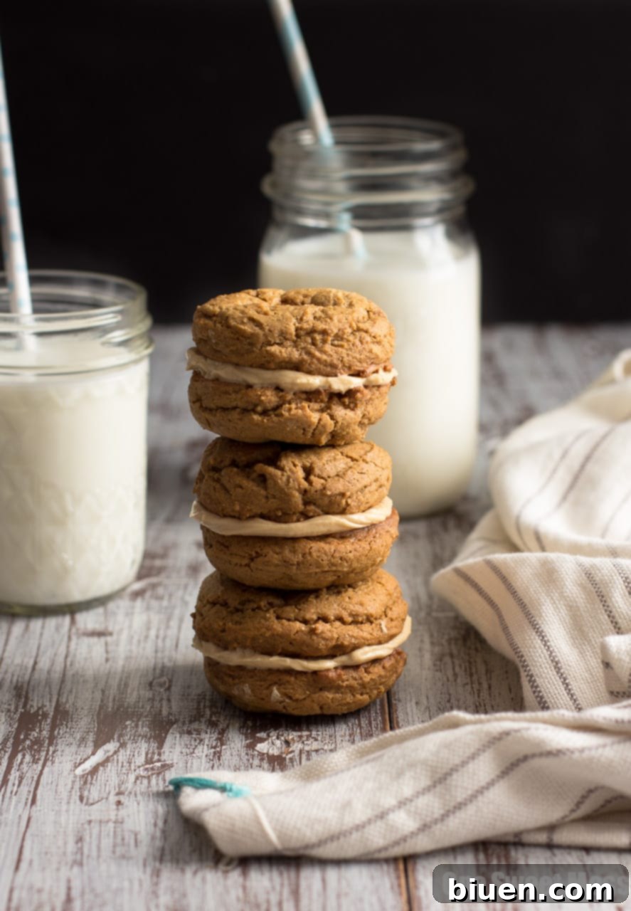 Pumpkin Cookie Butter Ginger Sandwich Cookies
