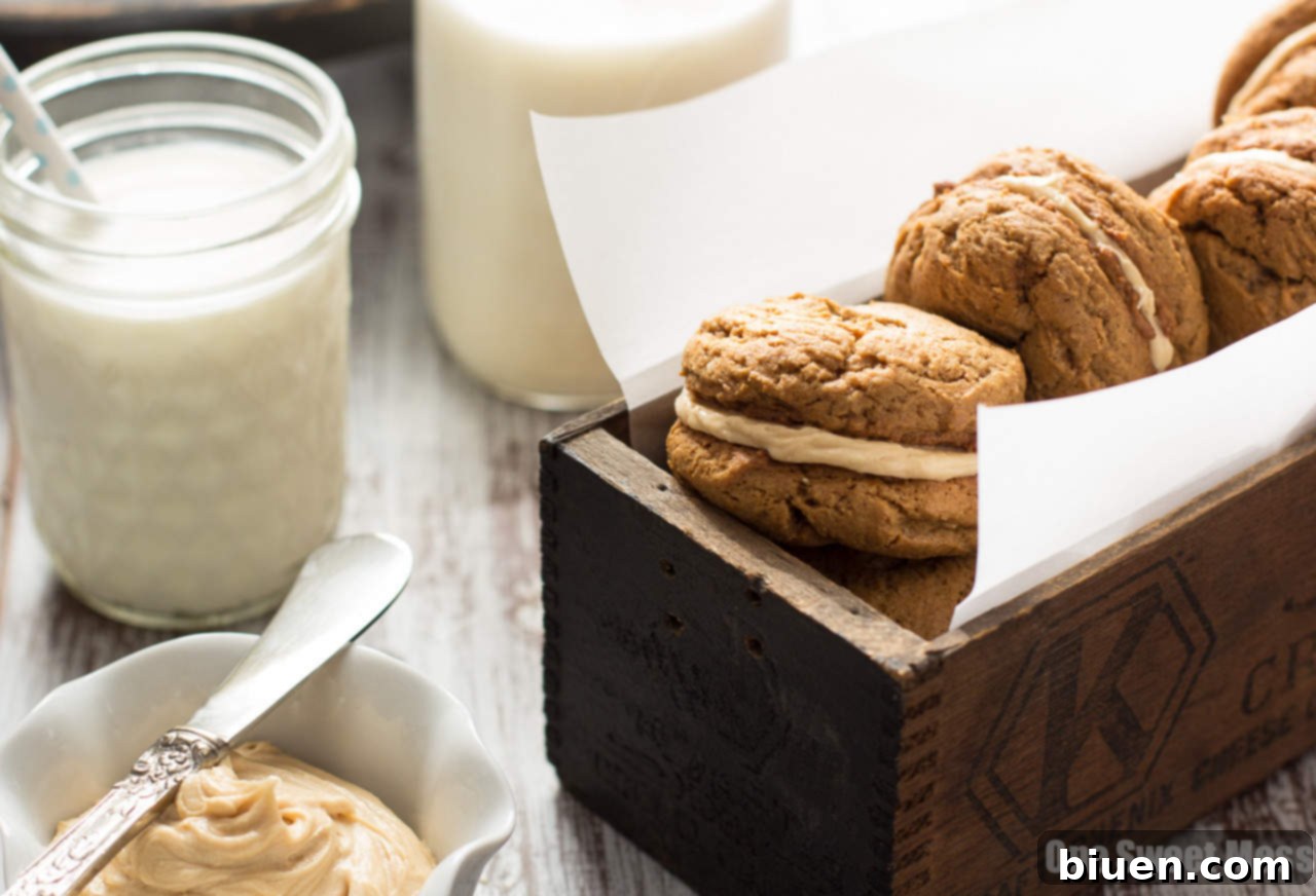 Pumpkin Cookie Butter Ginger Sandwich Cookies