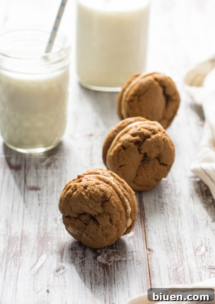 Pumpkin Cookie Butter Ginger Sandwich Cookies