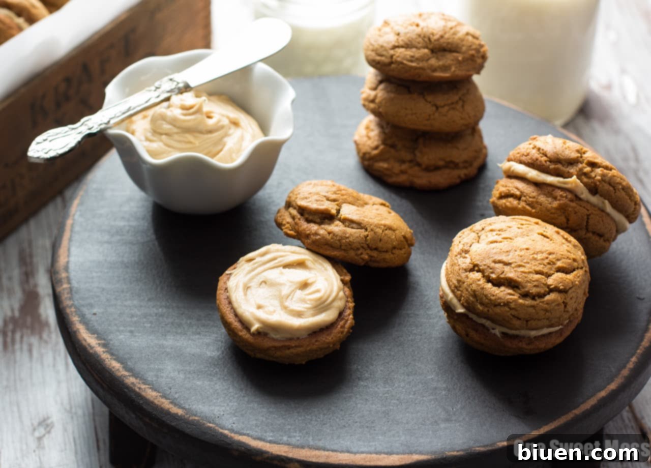 Pumpkin Cookie Butter Ginger Sandwich Cookies