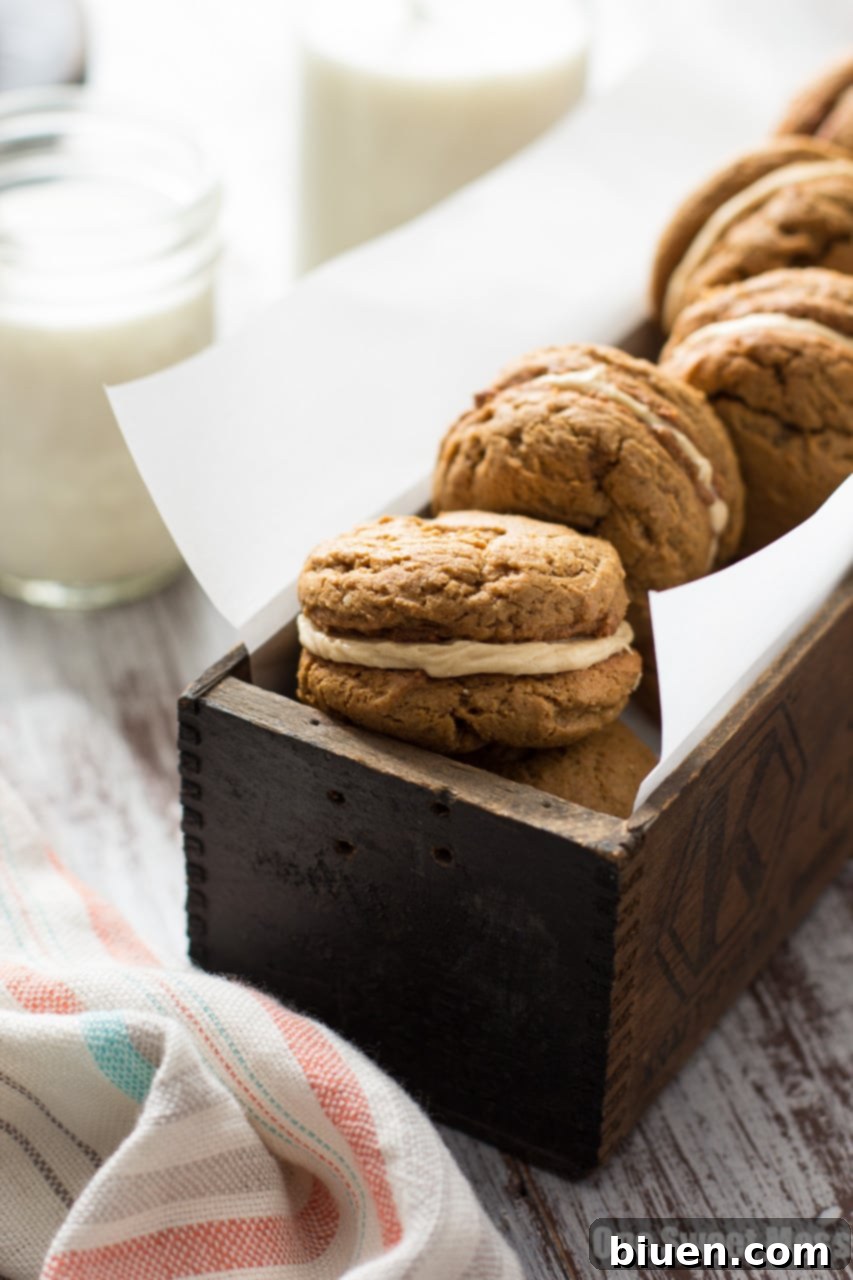 Pumpkin Cookie Butter Ginger Sandwich Cookies