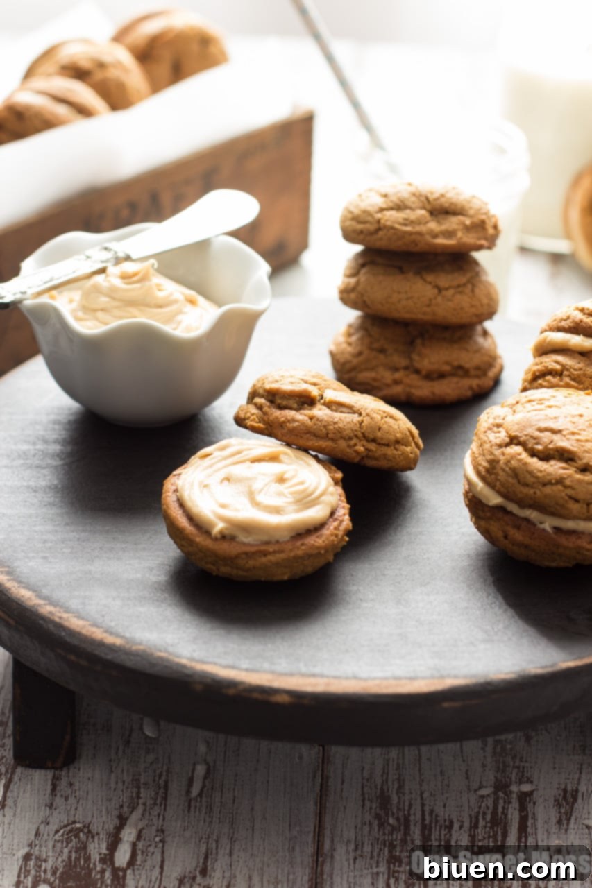 Pumpkin Cookie Butter Ginger Sandwich Cookies