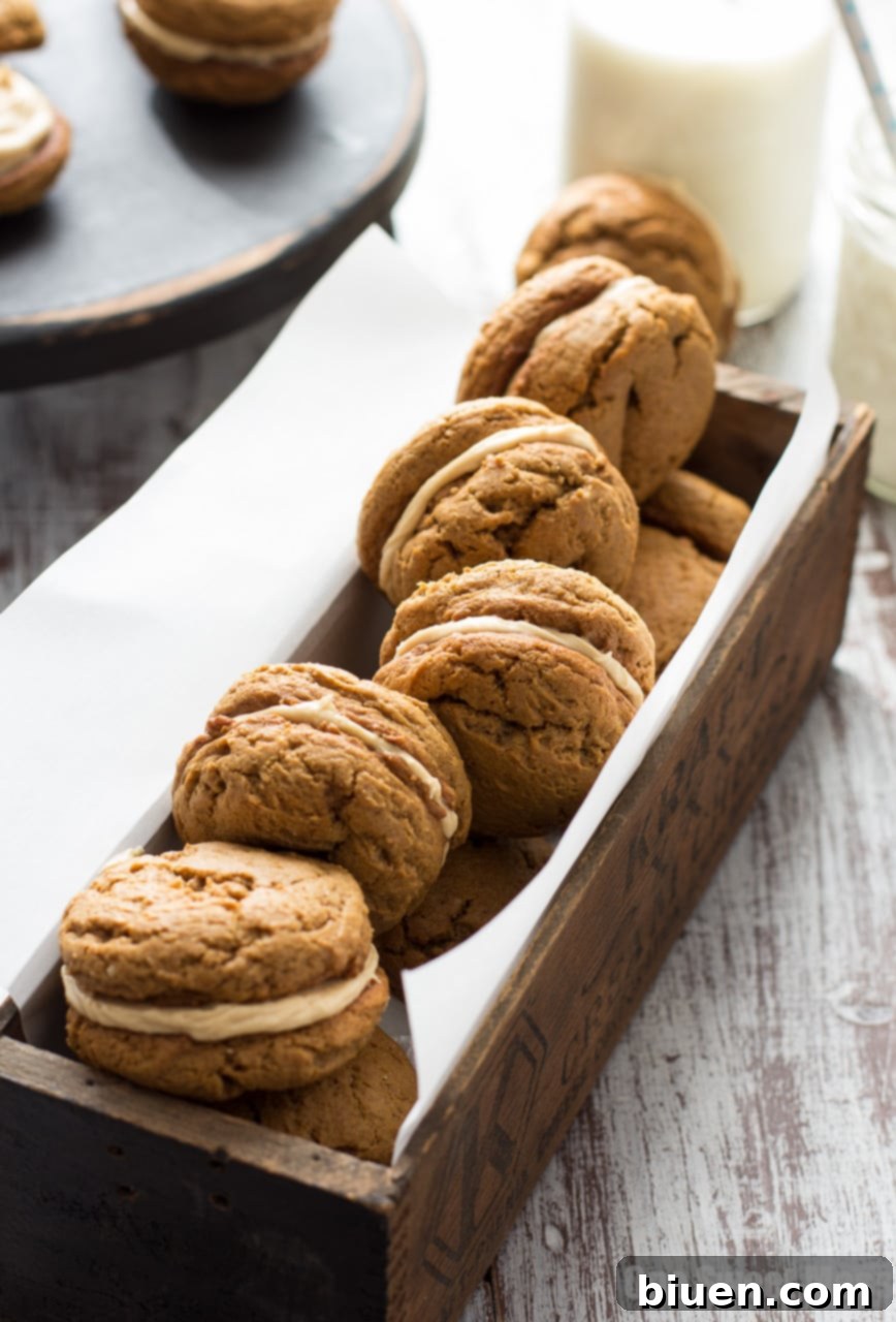 Pumpkin Cookie Butter Ginger Sandwich Cookies