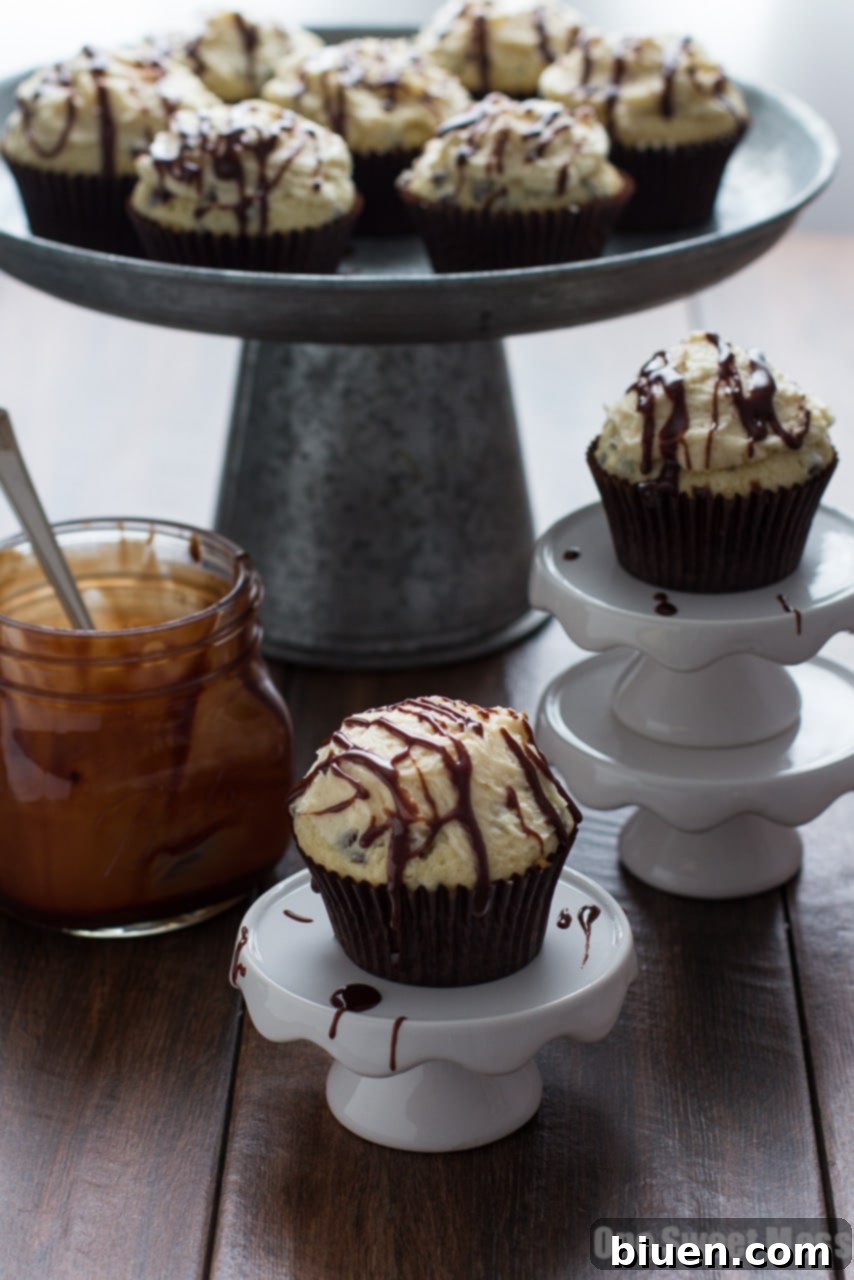 Fudge Stuffed Chocolate Chip Cupcakes with Malted Milk Buttercream Frosting