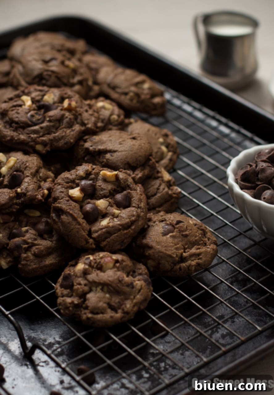 Rich Chocolate Espresso Toasted Hazelnut Cookies arranged beautifully