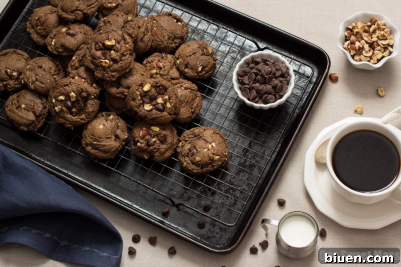 A plate stacked high with delicious Chocolate Espresso Toasted Hazelnut Cookies